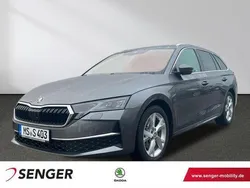 Andere farbe Gebraucht 2025 Skoda Octavia Selection Kombi | 39.490 € (Etwas zu teuer)