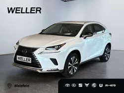 Weiss Gebraucht 2021 Lexus NX300h SUV | 32.990 € (Fairer Preis)