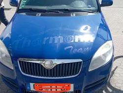 Grün Gebraucht 2009 Skoda Fabia Limousine | 2.100 € (Etwas zu teuer)