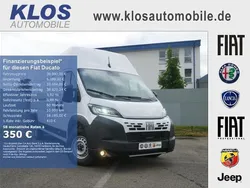 Ducato weiss Neu 2025 Fiat Ducato Van | 39.990 € (Etwas zu teuer)