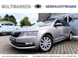 Beige Gebraucht 2018 Skoda Octavia Style Kombi | 14.990 € (Fairer Preis)