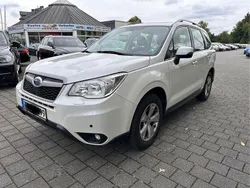 Weiß Gebraucht 2014 Subaru Forester Exclusive+ SUV | 7.300 € (Fairer Preis)