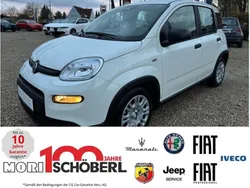 Gelato weiß Neu 2024 Fiat Panda Kleinwagen | 15.990 €