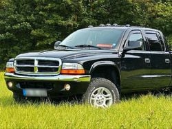 Schwarz Gebraucht 2003 Dodge Dakota Abholung | 10.250 €