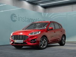 Rot Gebraucht 2023 Ford Kuga ST-Line SUV | 30.450 € (Teuer)