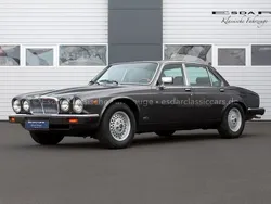 Grau Gebraucht 1986 Jaguar XJ12 Limousine | 29.000 €