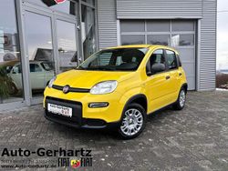 Gelb Neu 2025 Fiat Panda Kleinwagen | 16.830 € (Etwas zu teuer)