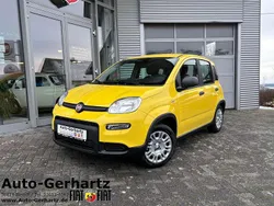 Gelb Neu 2025 Fiat Panda Kleinwagen | 16.830 € (Etwas zu teuer)