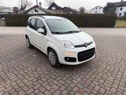 Weiß Gebraucht 2016 Fiat Panda Kleinwagen | 4.999 € (Fairer Preis)