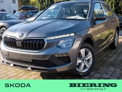 Grau Neu 2024 Skoda Kamiq Essence SUV | 27.100 € (Teuer)