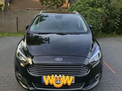 Gebraucht 2019 Ford S-MAX Titanium Van / Kleinbus | 17.800 € (Guter Preis)