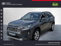 Grau Gebraucht 2019 Toyota RAV4 Hybrid Business Edition SUV | 26.480 € (Fairer Preis)