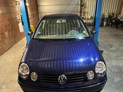 Blau Gebraucht 2004 VW Polo Kleinwagen | 1.600 € (Fairer Preis)