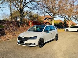 Grau Gebraucht 2019 Skoda Fabia Monte Carlo Kleinwagen | 16.295 € (Fairer Preis)
