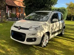 Weiß Gebraucht 2014 Fiat Panda Kleinwagen | 7.290 €