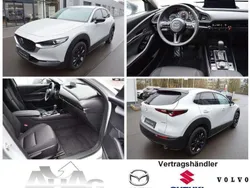Mondsteinweiß Neu 2025 Mazda CX-30 Homura-Line SUV | 28.650 €