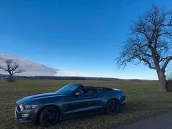 Grau Gebraucht 2017 Ford Mustang Cabrio | 26.900 € (Fairer Preis)