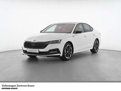 Weiss Gebraucht 2023 Skoda Octavia SportLine Limousine | 29.460 € (Etwas zu teuer)