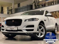 Weiß Gebraucht 2019 Jaguar F-Pace Pure SUV | 14.900 €