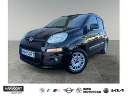 Colore esterno schwarz Gebraucht 2020 Fiat Panda Easy Kleinwagen | 9.980 € (Fairer Preis)