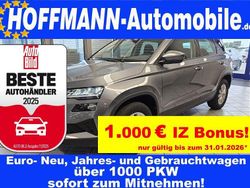Grau Gebraucht 2024 Skoda Karoq SUV | 24.850 € (Superpreis)