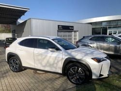 Weiß Gebraucht 2023 Lexus UX SUV | 31.980 € (Etwas zu teuer)