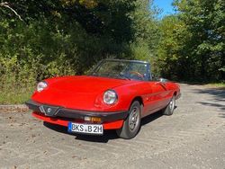 Rot Gebraucht 1981 Alfa Romeo Spider Cabrio | 10.900 €