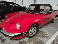 Rot Gebraucht 1986 Alfa Romeo Spider Cabrio | 8.990 €