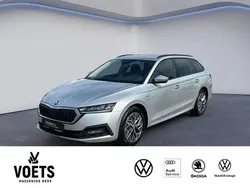 Silber Gebraucht 2023 Skoda Octavia Ambition Kombi | 22.988 € (Guter Preis)