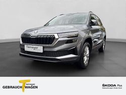 Grau Neu 2025 Skoda Karoq Selection SUV | 32.690 € (Superpreis)