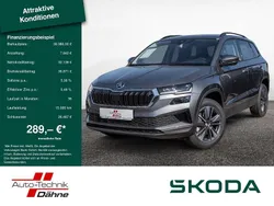 Graphitgrau Neu 2025 Skoda Karoq Selection SUV | 39.980 € (Teuer)
