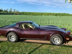 Violet Gebraucht 1979 Chevrolet Corvette Coupé | 15.500 €