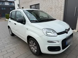 Weiß Gebraucht 2016 Fiat Panda Kleinwagen | 4.950 € (Guter Preis)