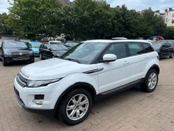 Weiß Gebraucht 2012 Land Rover Range Rover evoque Pure SUV | 9.900 € (Fairer Preis)