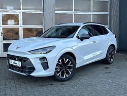 Eisweiß Gebraucht 2025 Cupra Terramar SUV | 32.990 € (Guter Preis)