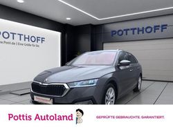 Grau Gebraucht 2023 Skoda Octavia Style Kombi | 23.557 € (Guter Preis)