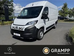 Weiß Gebraucht 2025 Fiat Ducato Van | 27.850 € (Etwas zu teuer)