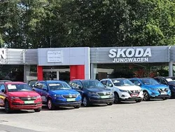 Braun Gebraucht 2019 Skoda Octavia Style Kombi | 17.990 € (Fairer Preis)