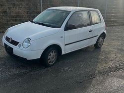 Weiß Gebraucht 2002 VW Lupo Basis Kleinwagen | 1.550 € (Fairer Preis)