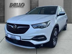 Weiß Gebraucht 2018 Opel Grandland X Innovation SUV | 14.980 € (Etwas zu teuer)