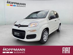 Weiß Neu 2025 Fiat Panda Pop Limousine | 14.990 € (Fairer Preis)