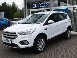 Weiß Gebraucht 2019 Ford Kuga Trend SUV | 12.750 € (Guter Preis)
