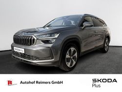 Grau Gebraucht 2024 Skoda Kodiaq Selection SUV | 43.980 € (Fairer Preis)
