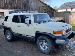 Beige Gebraucht 2008 Toyota FJ Cruiser SUV | 15.000 €