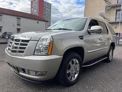 Gold Gebraucht 2010 Cadillac Escalade SUV | 14.890 €