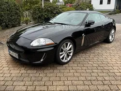 Jaguar XK