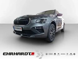 Grau Neu 2025 Skoda Kamiq Tour SUV | 26.989 € (Etwas zu teuer)