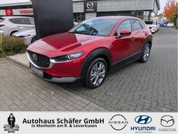 Rot Gebraucht 2023 Mazda CX-30 Exclusive SUV | 25.485 € (Fairer Preis)