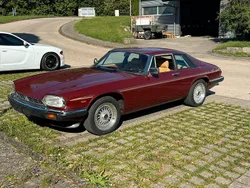 Braun Gebraucht 1984 Jaguar XJS | 9.950 €