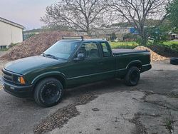 Grün Gebraucht 1996 Chevrolet S10 Abholung | 5.000 €